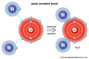 water molecule