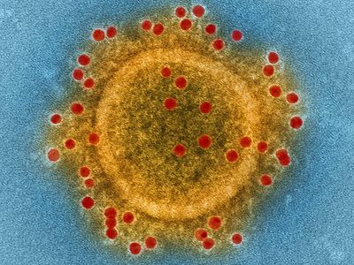 MERS; coronavirus