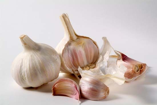 garlic clove