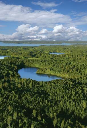 lakes and forests in Finland