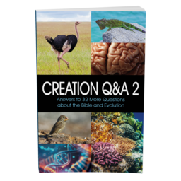 Creation Q&A 2