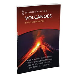 Volcanoes: Earth's Explosive Past