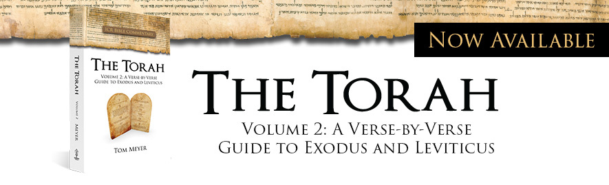 Torah 2