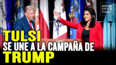 Tulsi Gabbard anuncia respaldo a Trump; Trump podría retirarse del debate con Harris en la ABC | NET