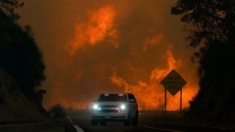 Incendio al este de Los Ángeles amenaza a decenas de miles de hogares