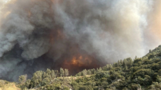 Newsom declara el estado de emergencia por el incendio de San Bernardino