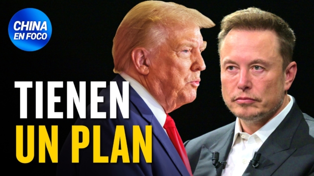 Trump propone a Musk un cargo clave que podría reportar enormes beneficios