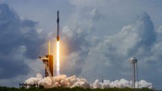 Primera misión operativa de SpaceX a la EEI se atrasa para el 31 de octubre