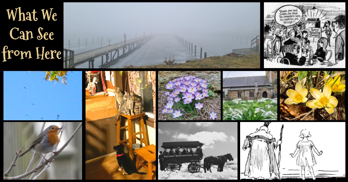  This week's title is What We Can See from Here. Clockwise from upper left: a view of the Swedish end of the Oresund Bridge on a very foggy day, a 1962 cartoon of a computer reciting poetry at a beatnik coffee house and taunting the beatniks, Roses are red, violts are blue, the computer's here,  you beatniks are through, yellow crocuses, snowdrops in front of an old church, a cartoon showing a little girl and a king from the back as they gaze at something, a team of horses pulling an old omnibus, only the horses and bus and standing on clouds, a painterly photo of three grey-striped tabby cats on a high stool and a small, black puppy on the floor of a farm kitchen, a European robin on a branch, and a group of North American vultures circling in a blue sky on an autumn day.