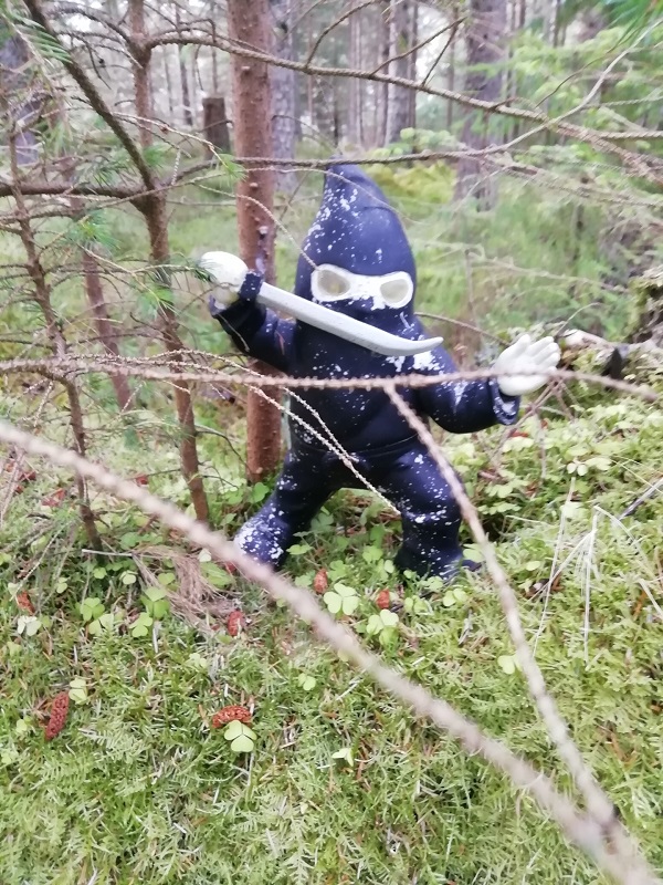 A ninja gnome in the fairy glen, by Paigetheoracle.