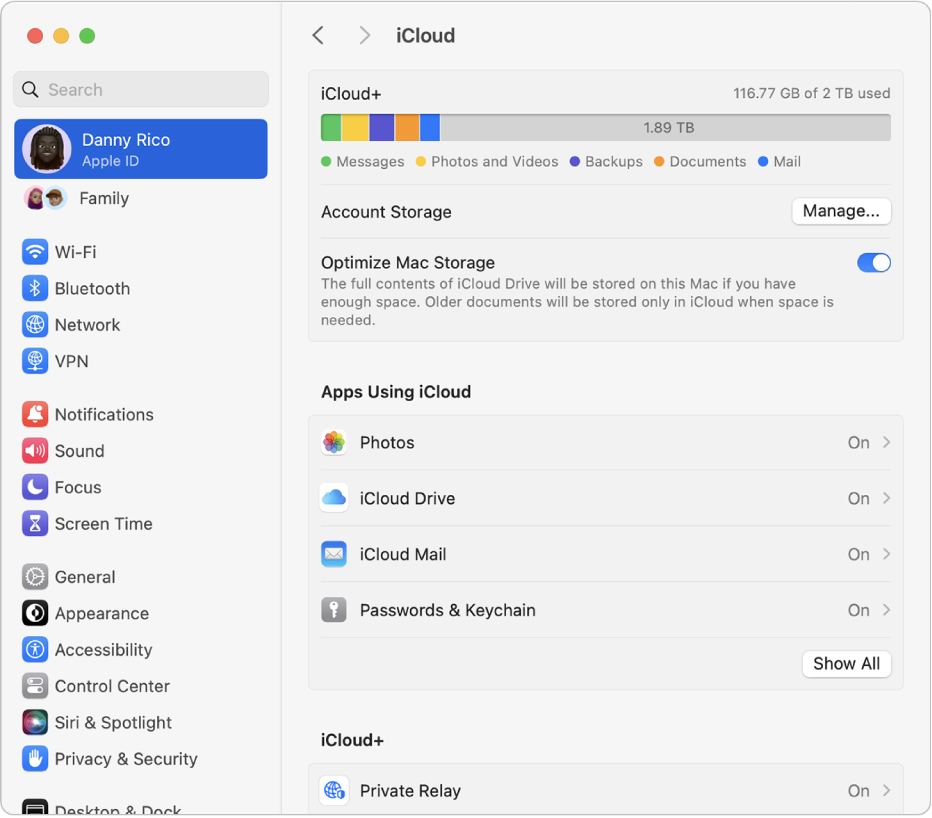 Fenêtre Réglages Système avec les fonctionnalités iCloud sélectionnées.