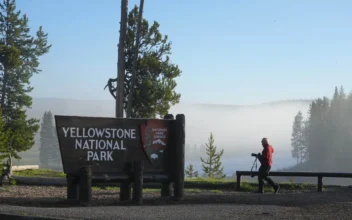 Woman Suffers 3rd Degree Burns Walking Off-Trail at Yellowstone