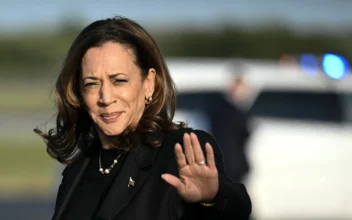 Harris Unveils Economic Policies on Campaign Website