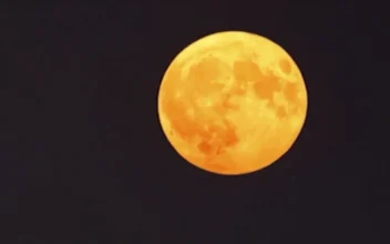 Rare Supermoon And Lunar Eclipse Lights Up Skies. (Screenshot via NTD)