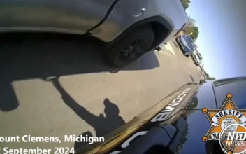 Video footage shows a Michigan sheriff's deputy's daring rescue as she climbed into a vehicle to help a dazed man who was driving erratically. (Screenshot via NTD)