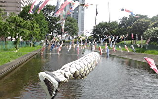 日本端午節風物詩 鯉魚勵志節