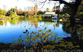 清澄古庭園 吉祥迎春風致