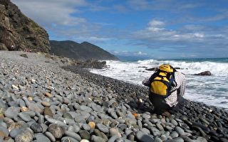 南田聽海傳奇石 山雲鳥月圖呼之欲出