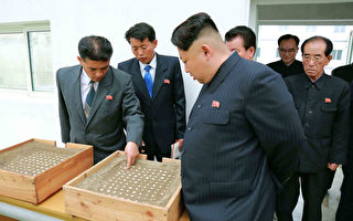 韩媒：金正恩下令备战 以武力统一意志没变