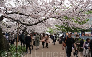 2018年陸客赴日旅遊 估逾800萬人次