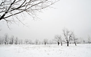 五絕：聽雪