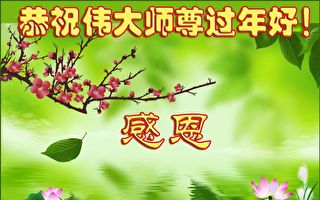 戊戌感恩 全球法輪功學員祝師父新年快樂