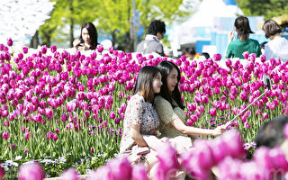 組圖：韓國高陽花卉博覽會繽紛登場