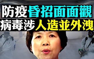 夏小強：李蘭娟和鄭樹森家族的95家公司