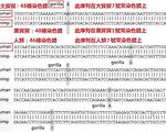 【系列連載】進化論是怎樣被判死刑的（五）