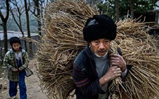 中共“脱贫”白皮书遭讽 官员自曝返贫风险