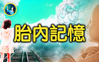 【未解之謎】「媽媽我記得妳」 神奇的胎內記憶