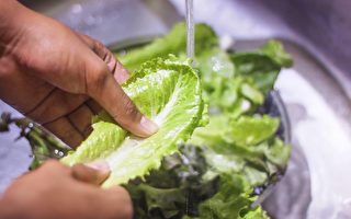 生菜和橙汁減產 價格或大漲