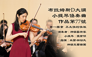 【器乐独奏与协奏曲】布拉姆斯D大调小提琴协奏曲，作品第77号