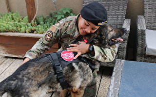 遭遇意外險喪命 美退休軍犬與前訓犬員團聚