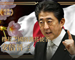 【时事人物】樱花之国的护花使者——安倍晋三