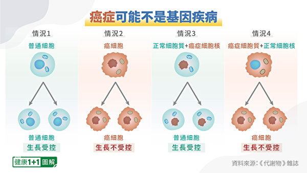 實驗表明，癌症可能不是基因疾病。（健康1+1／大紀元）