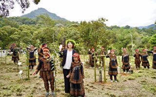 屏東特有植物「武威山烏皮茶」 歸鄉落地生根