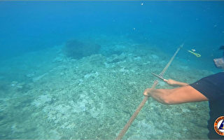 菲律賓在南海「特別行動」 拆除中共浮動屏障