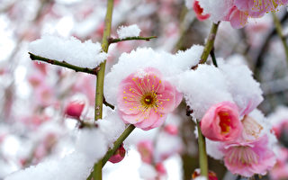 浪淘沙‧大雪