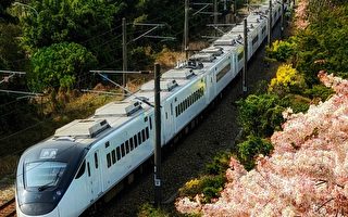 火車與花旗木同框 台攝影師：聯想到阿里山美景