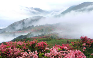 晋朝太元年间，武陵渔夫曾无意中进入桃花源。（shutterstock）