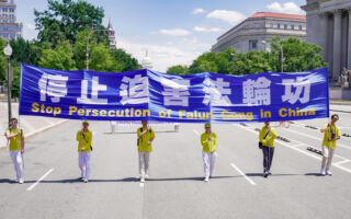 覓真：儘快結束已長達二十五年的血腥迫害