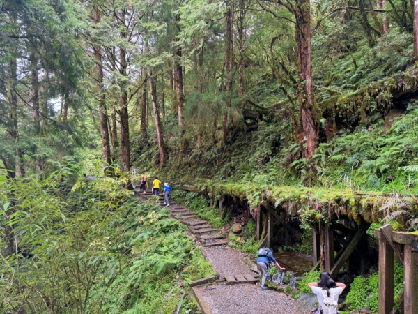 宜蘭,太平山,宜蘭景點,太平山推薦景點