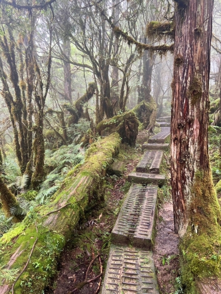 宜蘭,棲蘭,太平山,宜蘭景點,太平山推薦景點