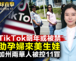 【环球直击】美法院审TikTok上诉案 明年或禁