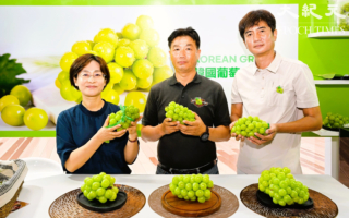 韓國水果明星登台！K-grape麝香葡萄掀起Q彈鮮甜熱潮