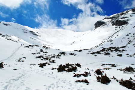 認識雪季風險裝備，安全尋訪亞熱帶山區難得的美麗雪景。(雪霸處潘振彰拍攝)