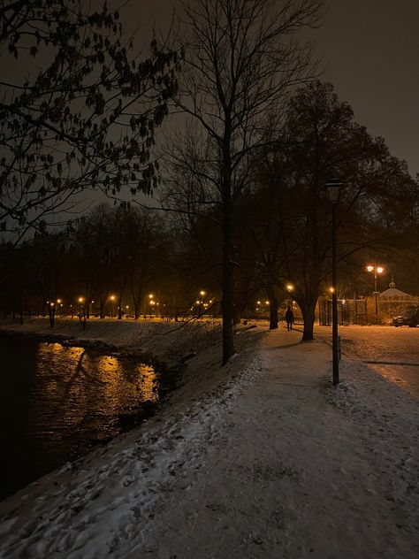 Trees, Christmas, Water, Walking, Winter Aesthetic, At Night