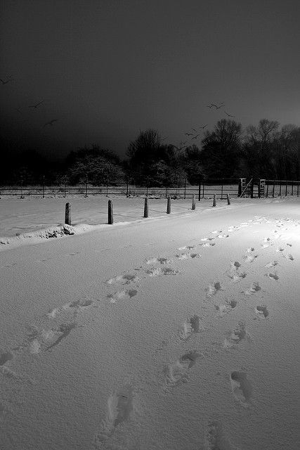 Beautiful! I love taking walks in the snow. Water, Snow Fake Story, Learn To Run, Run Through, Snow Winter, Winter Christmas, The Snow