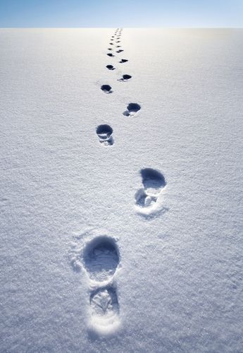 in the snow | Out turned footprints in the snow. Pedicures, Footsteps In Snow, Painting Snow, Winter Wallpaper, Airbrush Art, Snowy Day, Snow And Ice, Winter Wonder, Winter Scenes